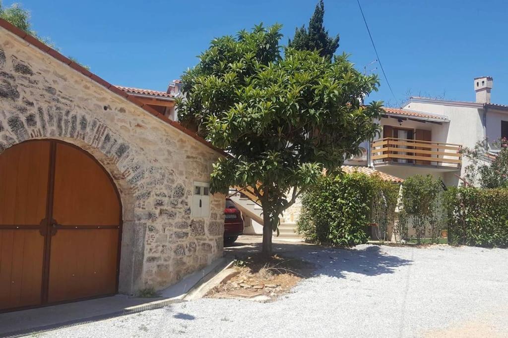 Apartament Casa Rustica Buici  Zewnętrze zdjęcie